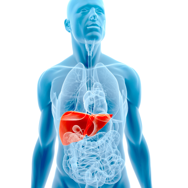 Best Liver Hospital in Pratap Nagar