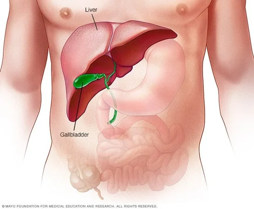 Best Liver Hospital in Raja Park