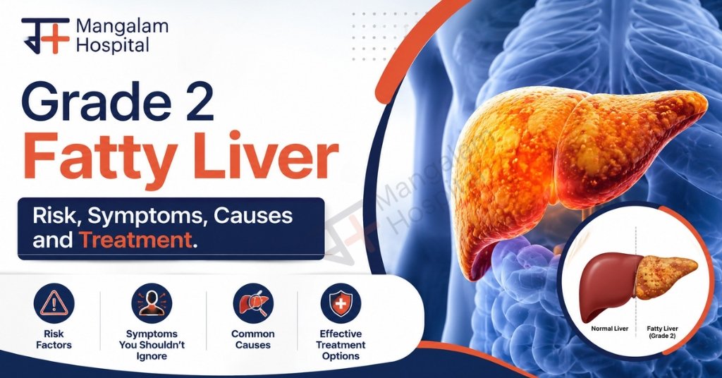 Grade 2 Fatty Liver
